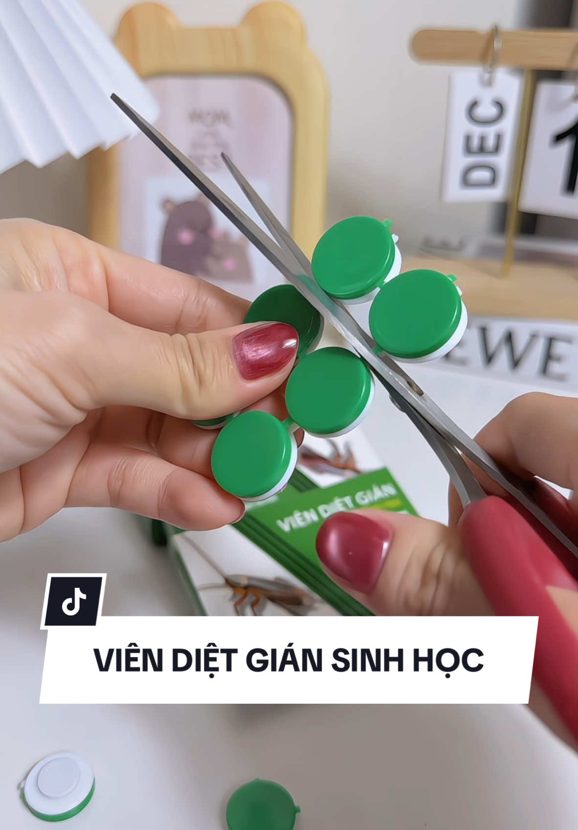 Viên diệt gián sinh học AMB cực kỳ hiệu quả luôn mọi người nha #xuhuong #saleluongve #viendietgian #dietgian #viendietgiansinhhocamb #viendietgiansinhhoc #bearthegioidochoi #muataitiktokshop 