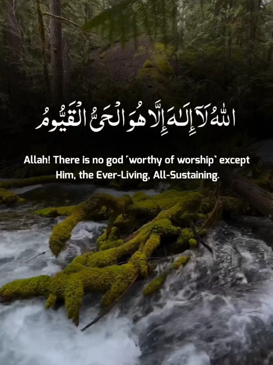 Ayatul Kursi Is Very Powerful #quran #tilawat #قران #تلاوات #foryoupage #شريف_مصطفى #unfrezzmyaccount @Holy Qur'an 