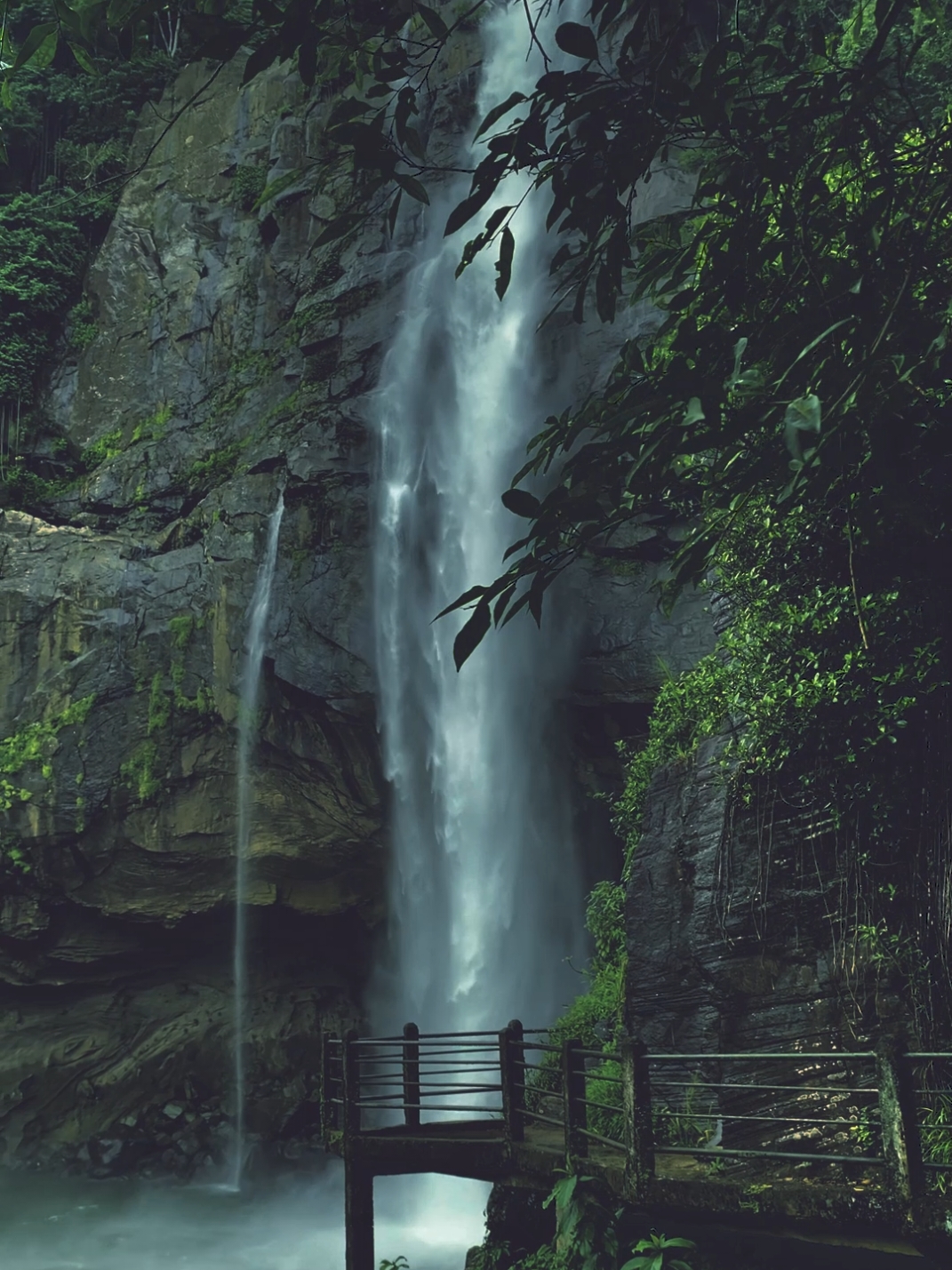 සැනසීම 💚  #naturebeauty #waterfall #feel #green #place #srilanka #nature #relax #feelings 