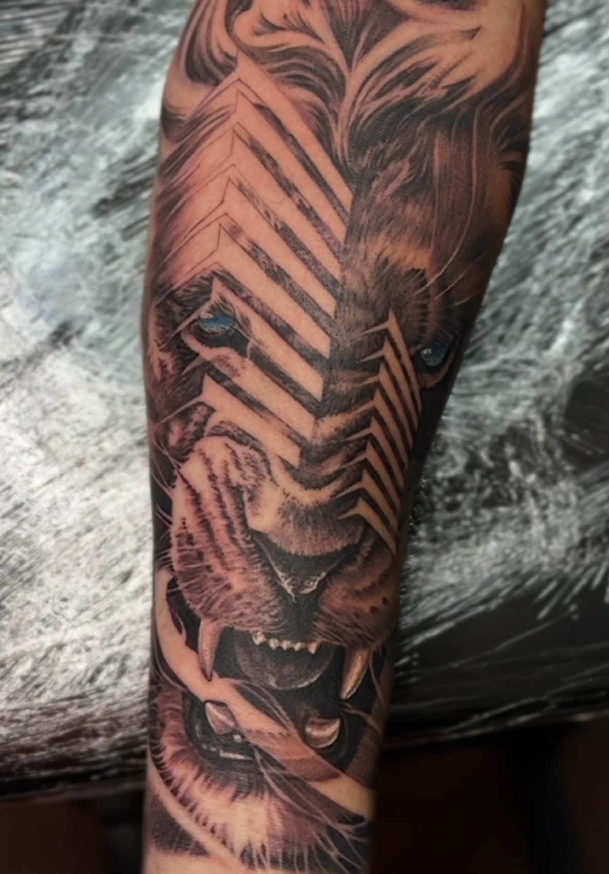 Orange county tap in! #elvisinknart 