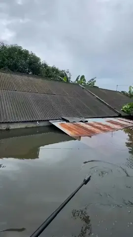 Kondisi Blok 8 & 10 Perumnas Antang Senin siang (23/12/2024), ratusan warga terpaksa mengungsi ke masjid yang aman dari banjir. via 🎥 sabda.rolle . . #kotamakassar #banjir #Bencanaalam 