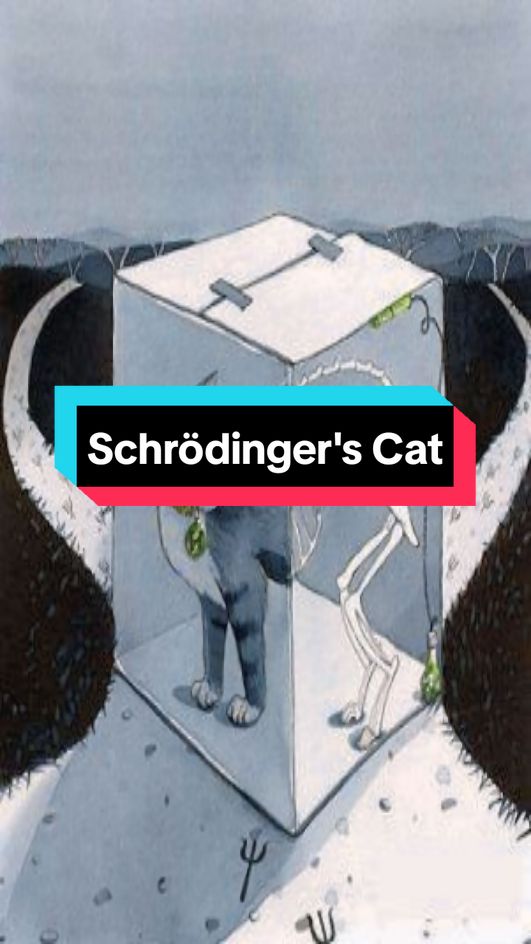 Kucing Schrödinger adalah eksperimen pemikiran yang diusulkan oleh fisikawan Erwin Schrödinger pada tahun 1935 untuk menggambarkan paradoks dalam interpretasi mekanika kuantum, khususnya Prinsip Superposisi. Eksperimen ini melibatkan sebuah kotak tertutup yang berisi kucing, sumber radioaktif, detektor partikel, botol racun, dan mekanisme pemicu. Jika atom radioaktif meluruh, detektor akan memecahkan botol racun, yang menyebabkan kematian kucing. Namun, selama kotak tetap tertutup, menurut Prinsip Superposisi, kucing tersebut secara teoritis berada dalam keadaan hidup dan mati secara bersamaan hingga kotak dibuka dan pengamatan dilakukan. Eksperimen ini bertujuan untuk menunjukkan ketidaklogisan penerapan mekanika kuantum pada objek mikroskopis. Schrödinger menggunakan eksperimen ini untuk mengkritik interpretasi Kopenhagen, yang menyatakan bahwa keadaan kuantum hanya menjadi definitif setelah diukur atau diamati. Paradoks ini menekankan perbedaan antara dunia kuantum (mikroskopis) dan dunia makroskopis serta terus menjadi subjek diskusi dalam fisika kuantum dan filsafat sains. Sc: Erwin Schrödinger, Die gegenwärtige Situation in der Quantenmechanik (1935). | Stanford Encyclopedia of Philosophy, article on Schrödinger’s Cat. | Hugh Everett III, The Theory of the Universal Wave Function (1957). #schrodingerscat #quantummechanics #superpositionprinciple #quantumparadox #quantumphysics #erwinschrodinger #copenhageninterpretation #philosophyofscience | #fyp #education #xyzbca