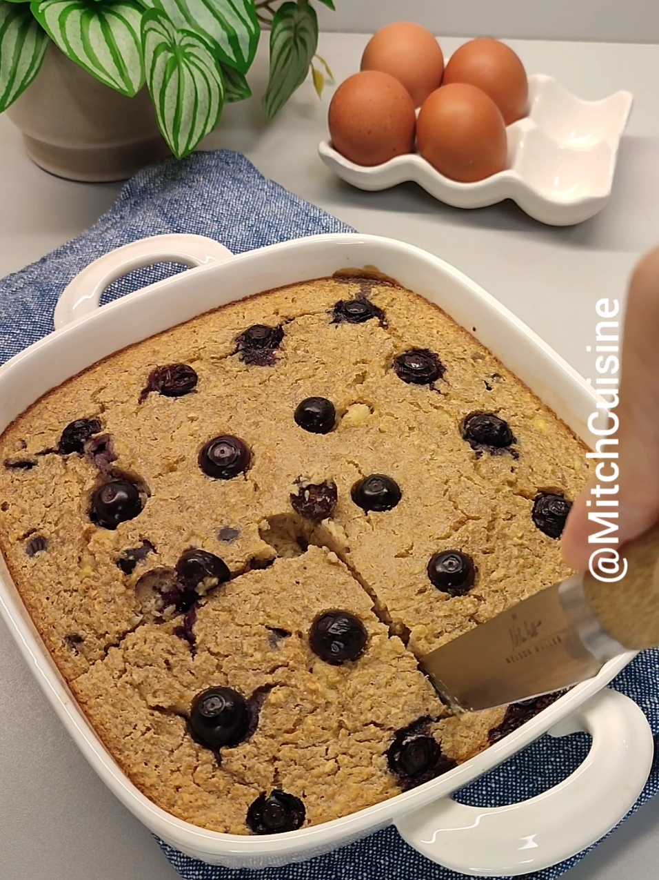 Blueberry Banana baked oats 🫐🍌 200 g oats 2 ripe bananas 1 Teaspoon baking powder  1 Teaspoon cinnamon powder 1 Tablespoon maple syrup  350 ml soya milk or any combine all and mix well. transfer in baking form. top with fresh blueberries. pre heated the oven and bake at 180°- 30-35 minutes. Slice and Top with yogurt. Enjoy✨ #oatsrecipe #bakedoats #breakfastideas #EasyRecipe #healthyfood #blueberryoats 