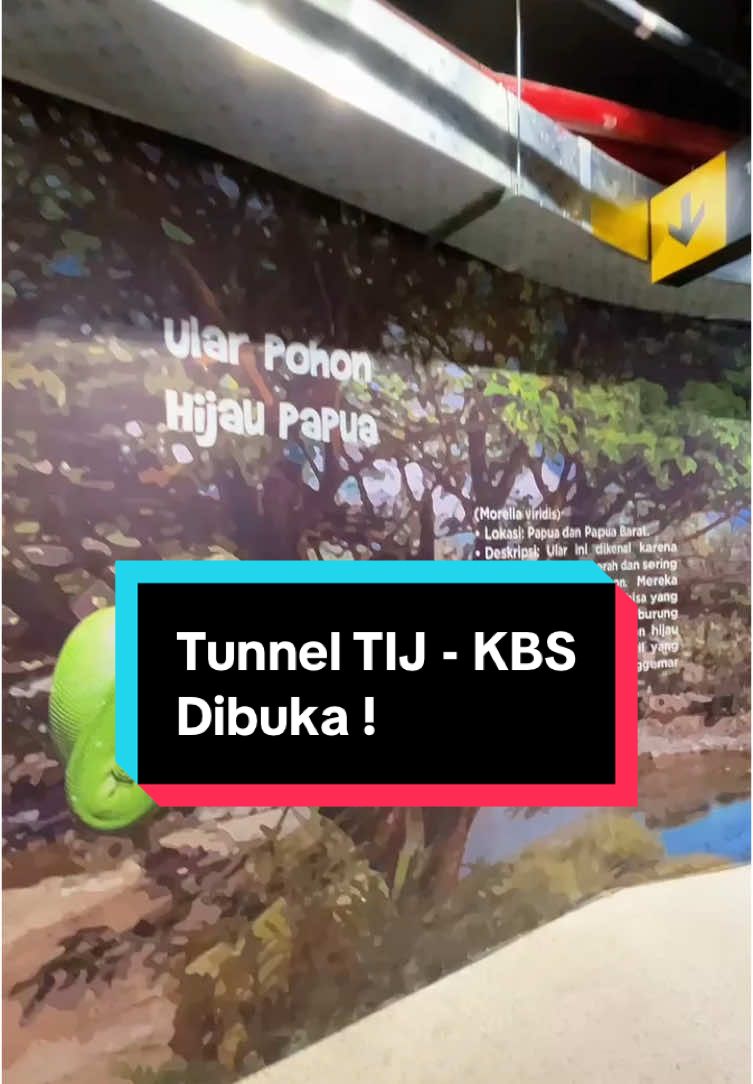 Tunnel TIJ - KBS Resmi Dibuka ! Menjelang Libur Nataru 2024, Tunnel untuk pejalan kaki yang menghubungkan Terminal Intermoda Joyoboyo (TIJ) dan Kebun Binatang Surabaya (KBS) resmi dibuka Wali Kota Surabaya, Hari ini (23/12) ! 🥳 Gak cuma bikin akses ke KBS makin mudah dan nyaman, terowongan ini juga dilengkapi fasilitas canggih seperti video mapping, AC, dan CCTV yang bikin pengalaman jalan-jalan makin seru dan aman! 😉 Yuk, ajak keluarga dan teman-teman liburan ke #SurabayaAja !  Jangan lupa share fotomu di Tunnel Joyoboyo ini dan tag @surabaya ya!  #BanggaSurabaya #TunnelTIJ-KBS #KebunBinatangSurabaya