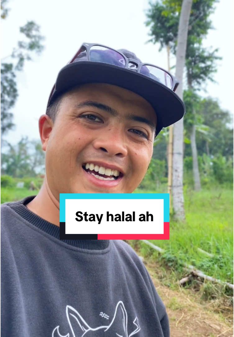 Stay halal ah