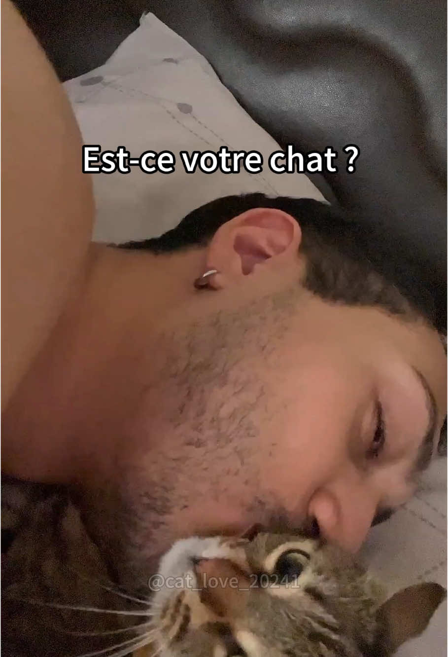 Chats jaloux 🤣🤣#cat #cats #funnycats #funnypets #catsoftiktok #funnyvideo #catslover #foryou #fyp #fypツ 