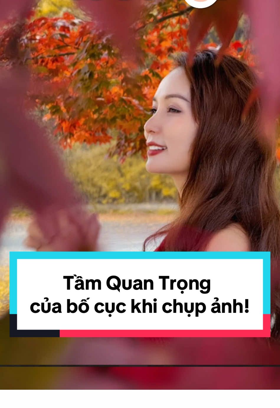 Bố cục là gì? Tầm quan trọng của bố cục khi chụp ảnh! #LearnItOnTikTok #samnguyenworkshop #dcgr #bikipsongao #thanhcongnghe 