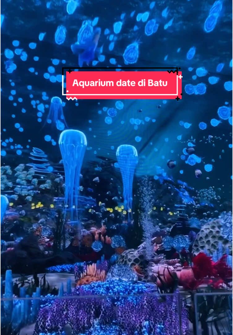 Sea world cabang Batu 😁  📍Virtual Immersive Park JTP 2 #virtualreality #jatimpark2 #aquariumdate 