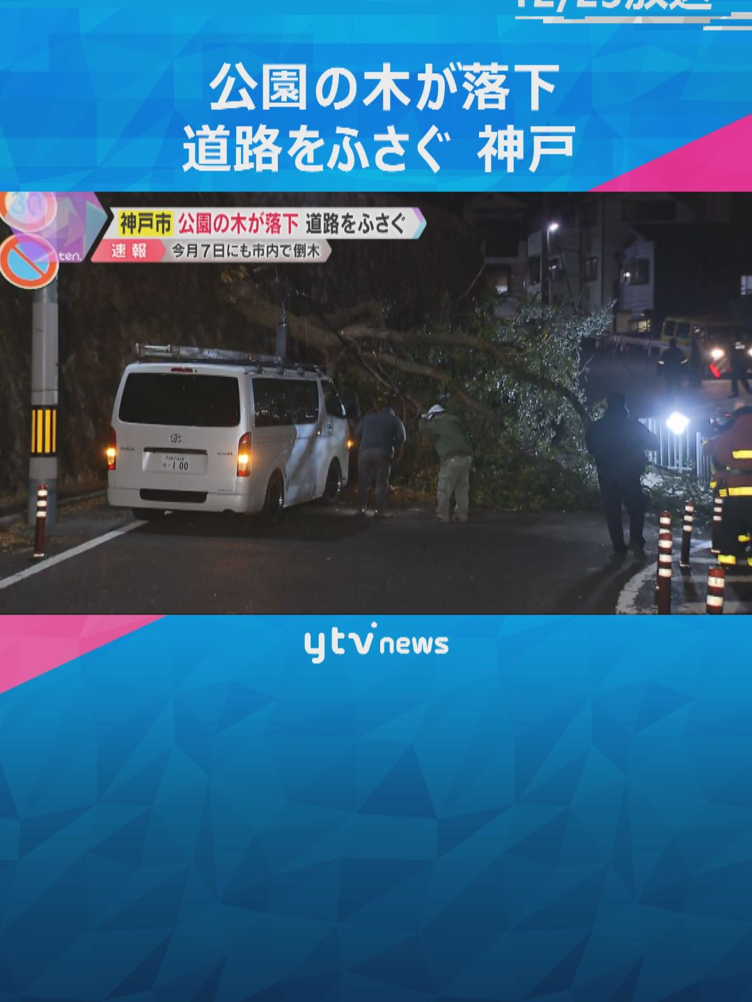 23日午後5時ごろ、神戸市中央区楠木町の大倉山公園で公園内の木が突然倒れ、3ｍ下の道路に落下し道をふさぎました。けが人はいませんでした。神戸市では、今月7日にも神戸市が管理する街路樹が突然倒れ、車1台が下敷きになる事故があったばかりでした。#tiktokでニュース　#読売テレビニュース