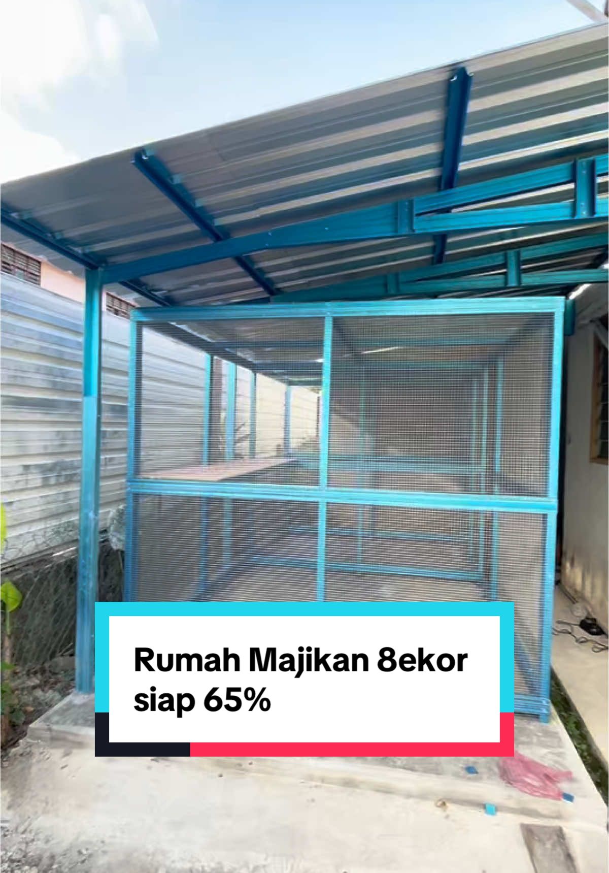 Rumah bulus 8ekor siap 65%  #rumahkucing #rumahmeow #pencintakucing #kucingcomel 