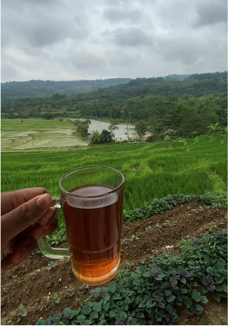 #CapCut  Warung Dayeh Sukamakmur  pemandangan Indah buat ngopii  nihh enak kalo jalan santai bareng istrii #ngopisantuy #bogorhits #sukamakmur_jonggoll #dayehatun #dayeh 