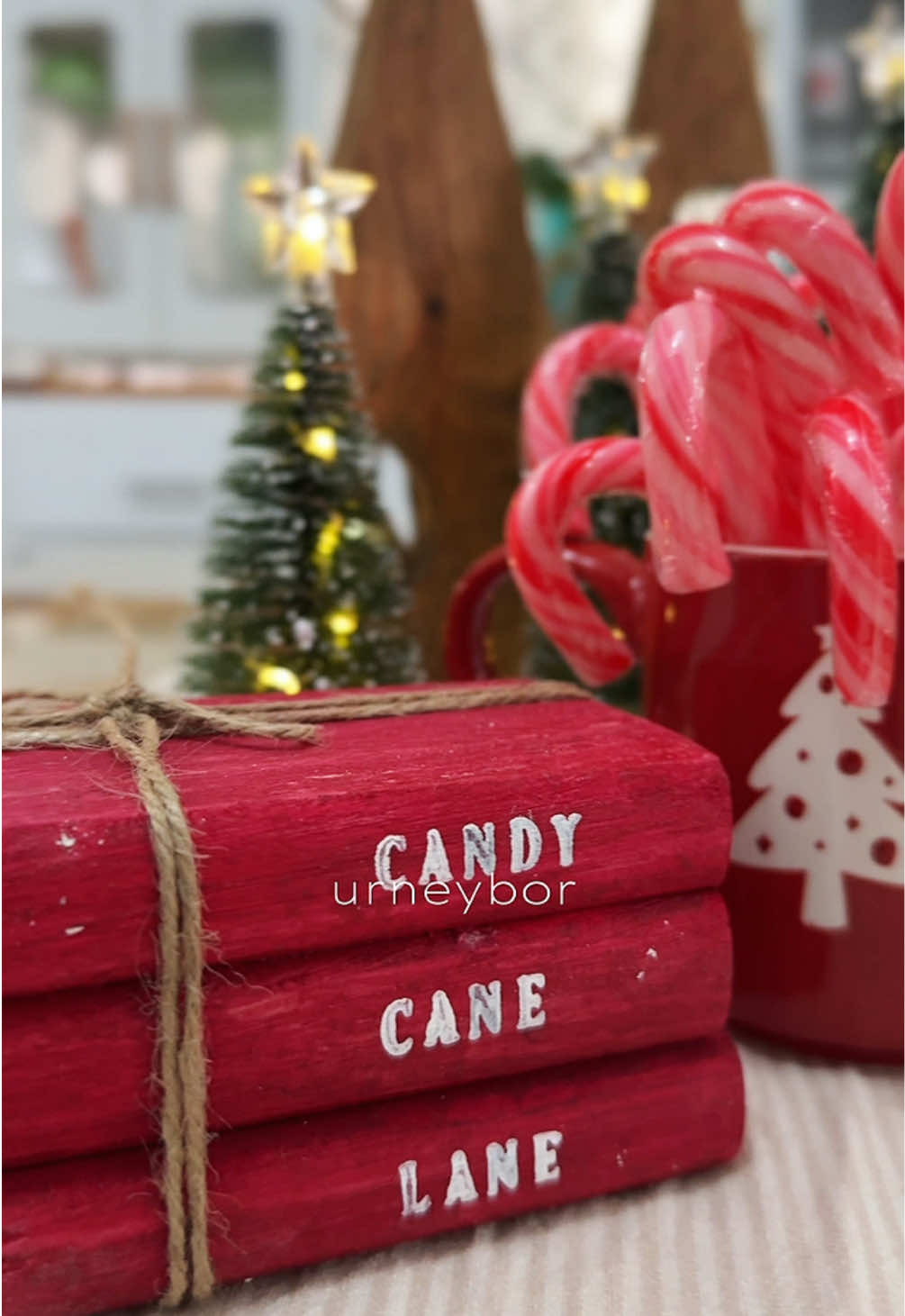 ❤️🎄❤️🎄❤️🎄❤️🎄 #urneybor #woodenchristmasbook #christmas #christmasdecor #candycane 