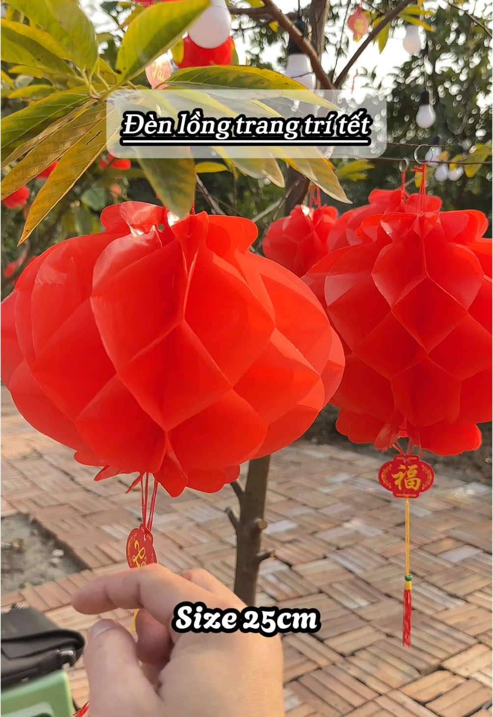 Đèn lồng giấy trang trí tết đỏ tươi rực rỡ không thấm nước không phai màu #denlong #denlongtet #denlongtrangtri #denlongtrangtritet 