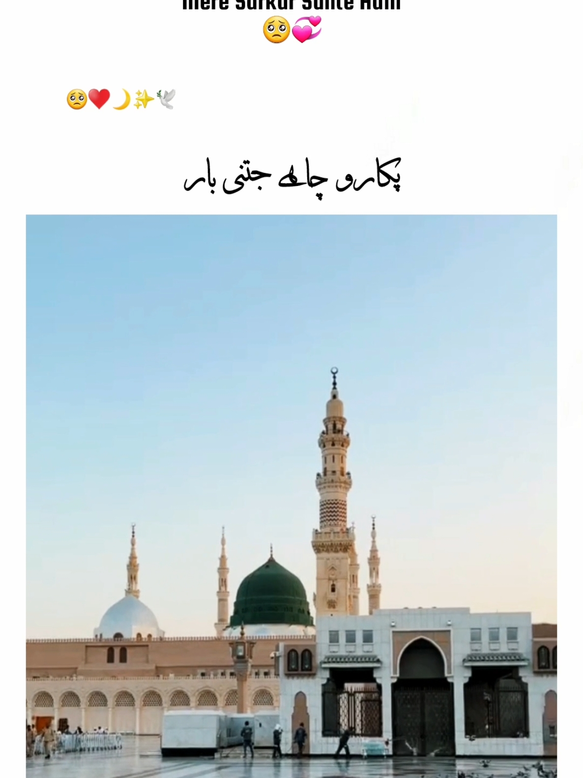 Merw Sarkar Sunte Hain 🥺💞 . #foryoupageofficiall #ayeshatistics #capcut #islamiccontent #fyp 