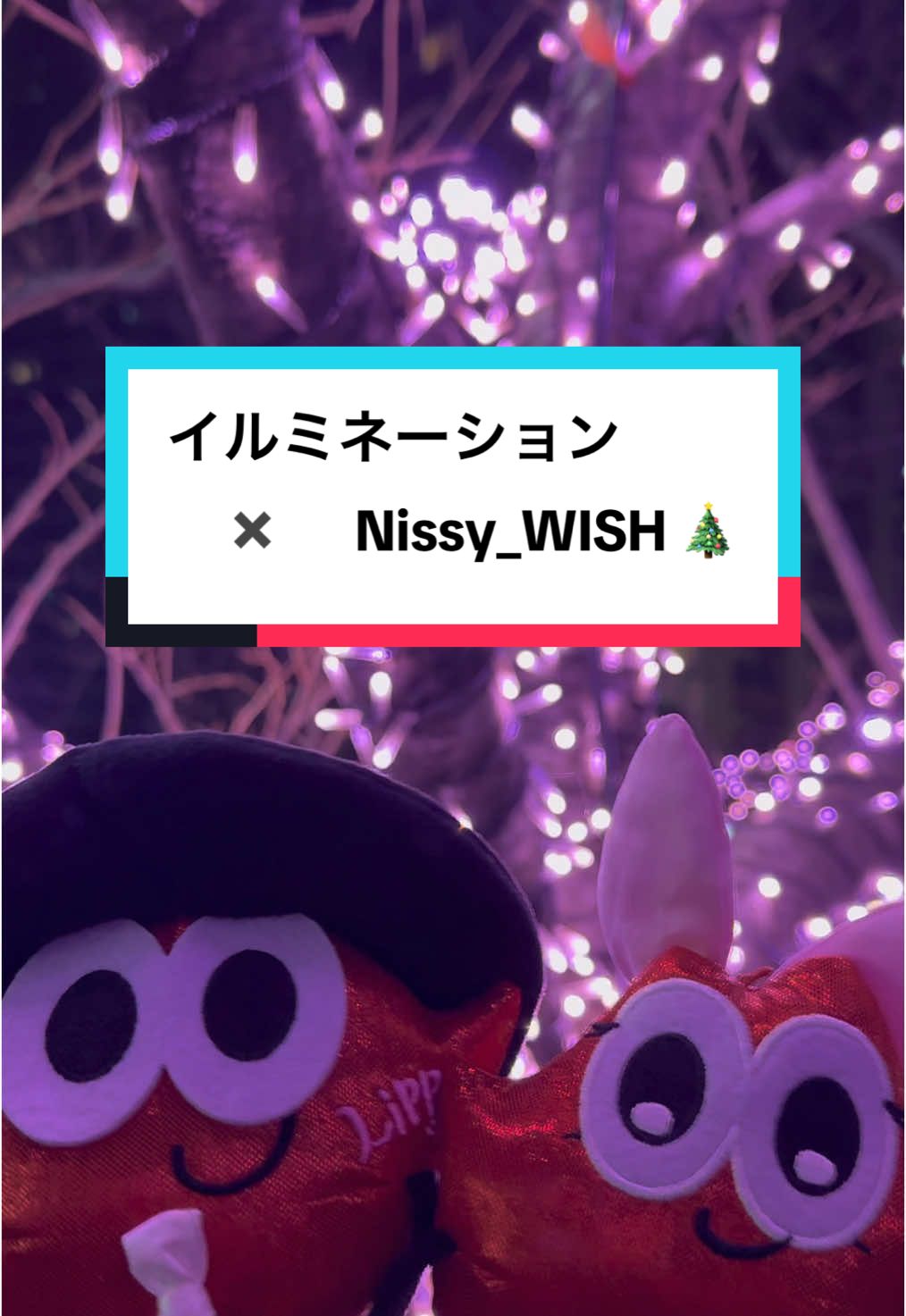 LippyとRujjuが「WISH」を聴きながらイルミネーションをお散歩しました💋🎀 「WISH」と共に、素敵な冬をお過ごしください♪ 皆さんもTikTok音源「WISH」を使って、 ぜひ投稿お待ちしております⛄️❄️ #Nissy #Nissy_WISH  #イルミネーション