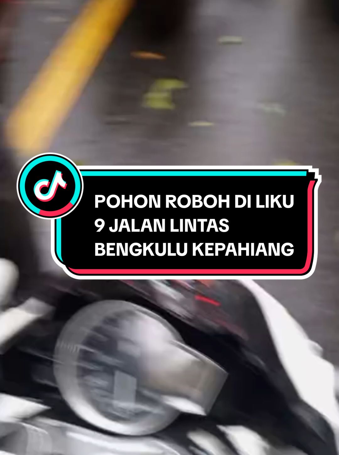 Pohon roboh di liku 9 jalan lintas bengkulu kepahiang hati hati adik sanak yang melintas jalan licin 23/12/24