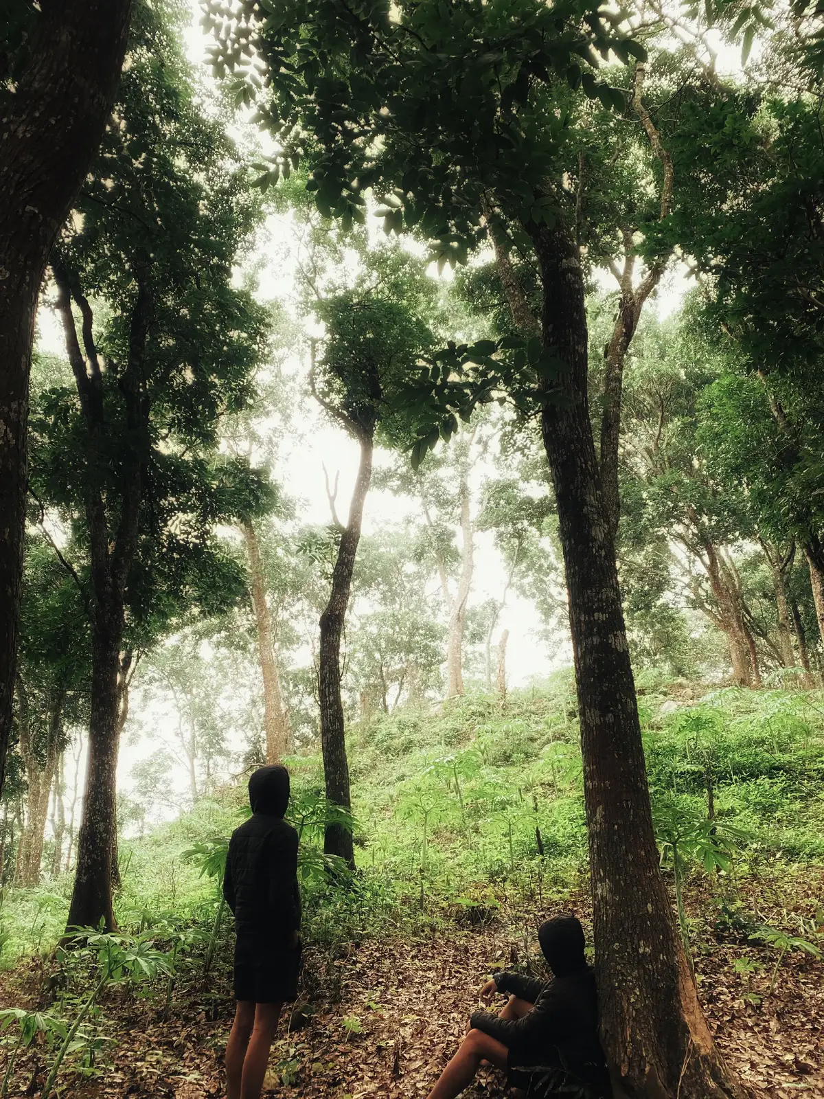 Rasakan suasana khas di hutan Gunung Pandan Bojonegoro. 📷 @ardiantt666  #bojonegoro_jawatimur #mountain #mountainpandan #puncakpandan #mountainpandan #gunungpandan #pandanbojonegoron #hutanbojonegoro #madiun #nganjuk  #mountain #tahunbaru #hutanjatibojonegoro #gunungjatim #gunung #flores 