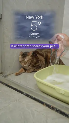 Never tried no-rinse gloves? You’re missing out!  #HICCPet #PetsOfTikTok #clean #Christmas