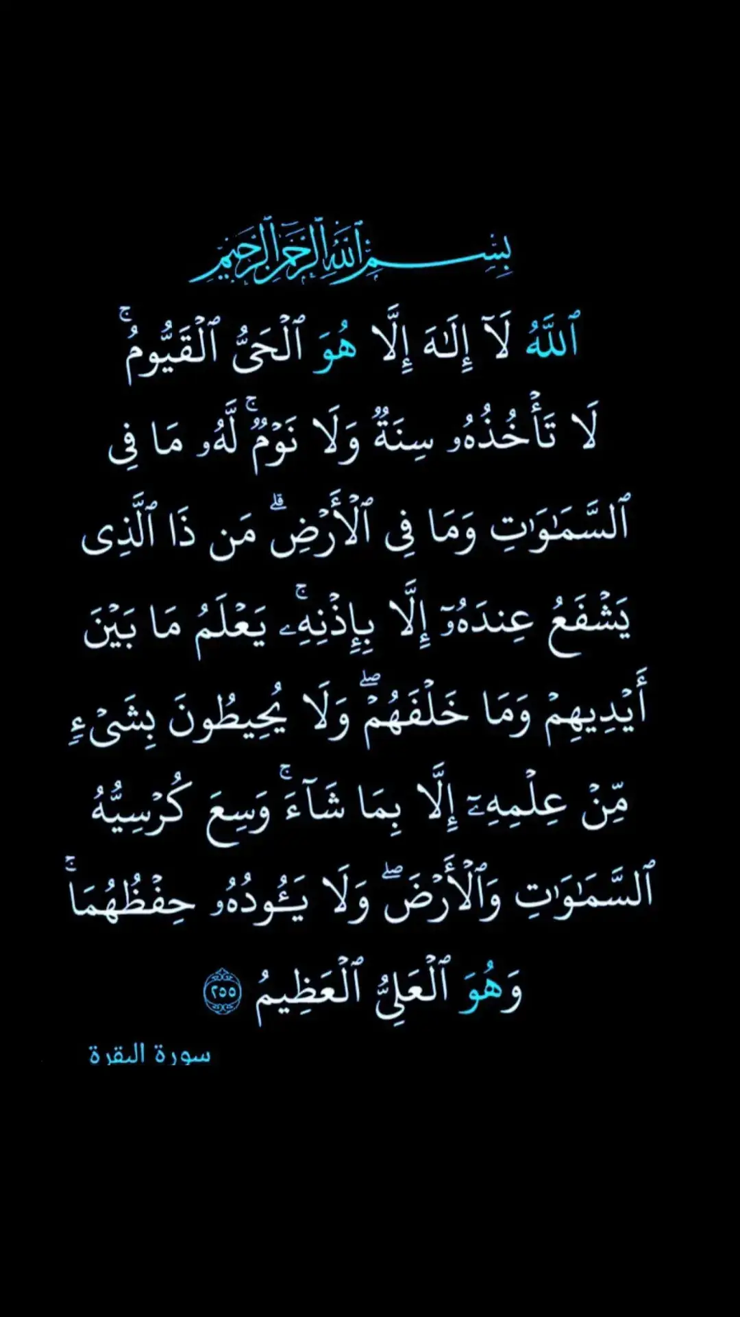 #quran #qu_ran_n #quran_alkarim #🤲🤲🕋🕋🤲🤲 #oops #oopsididitagain #قران_كريم #القران_الكريم 