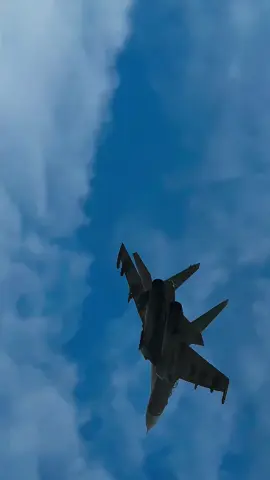 Su30mk2 VIỆT NAM🇻🇳#airforce #airplane #su #sukhoi #military #vietnam #fyp #xuhuong #viral 