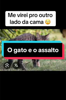 #Viralvideo #viraltiktok #viral #engraçado #zueira #audiosparatiktok #conselho #fy #entrevista 