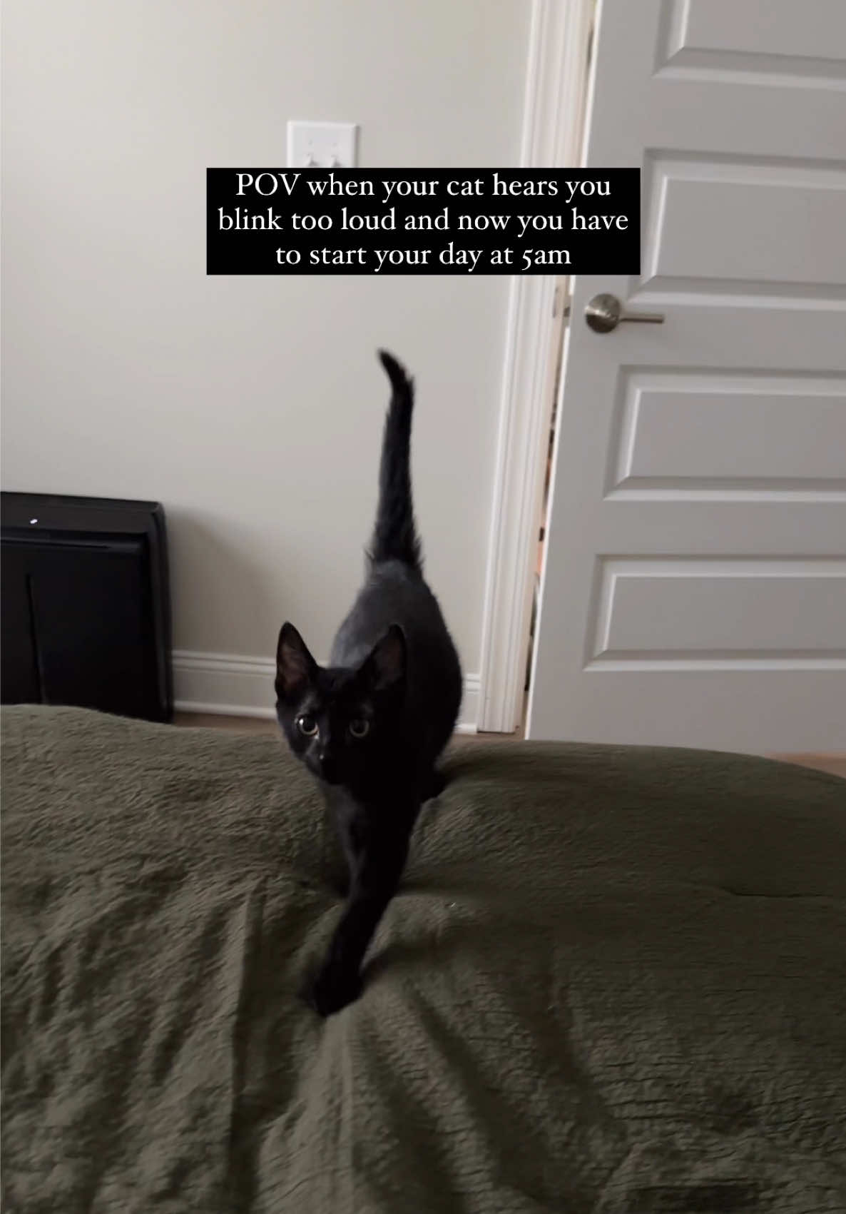 My days start earlier and earlier 😂 #catvideos #blackcat #kittensoftiktok #catsoftiktok 