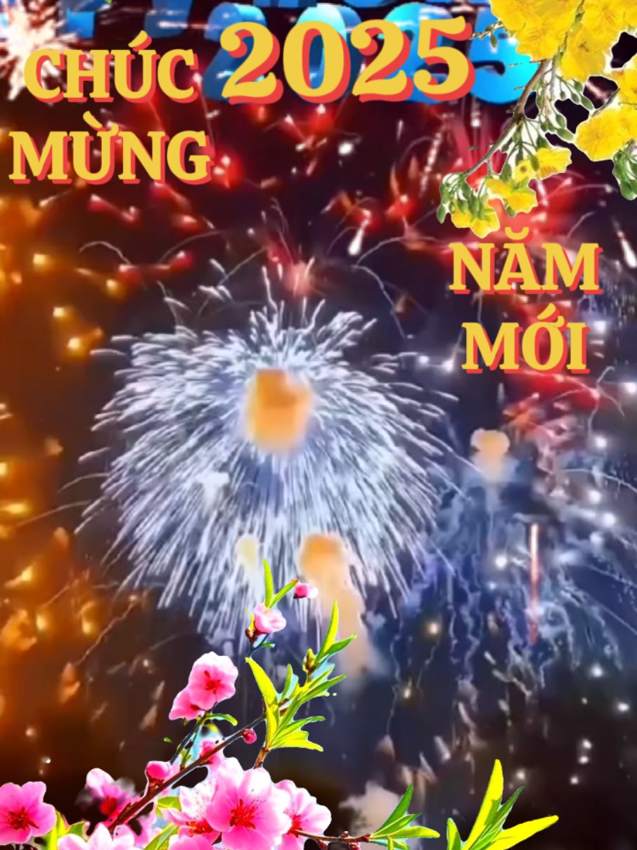 #wannaseeyou . Màn pháo hoa năm mới cực đẹp của năm mới 2025#wannaseeyou #tiktokvienam #CapCut #thinhhanhtiktok #phaohoa #xuhuong #hanguyen 