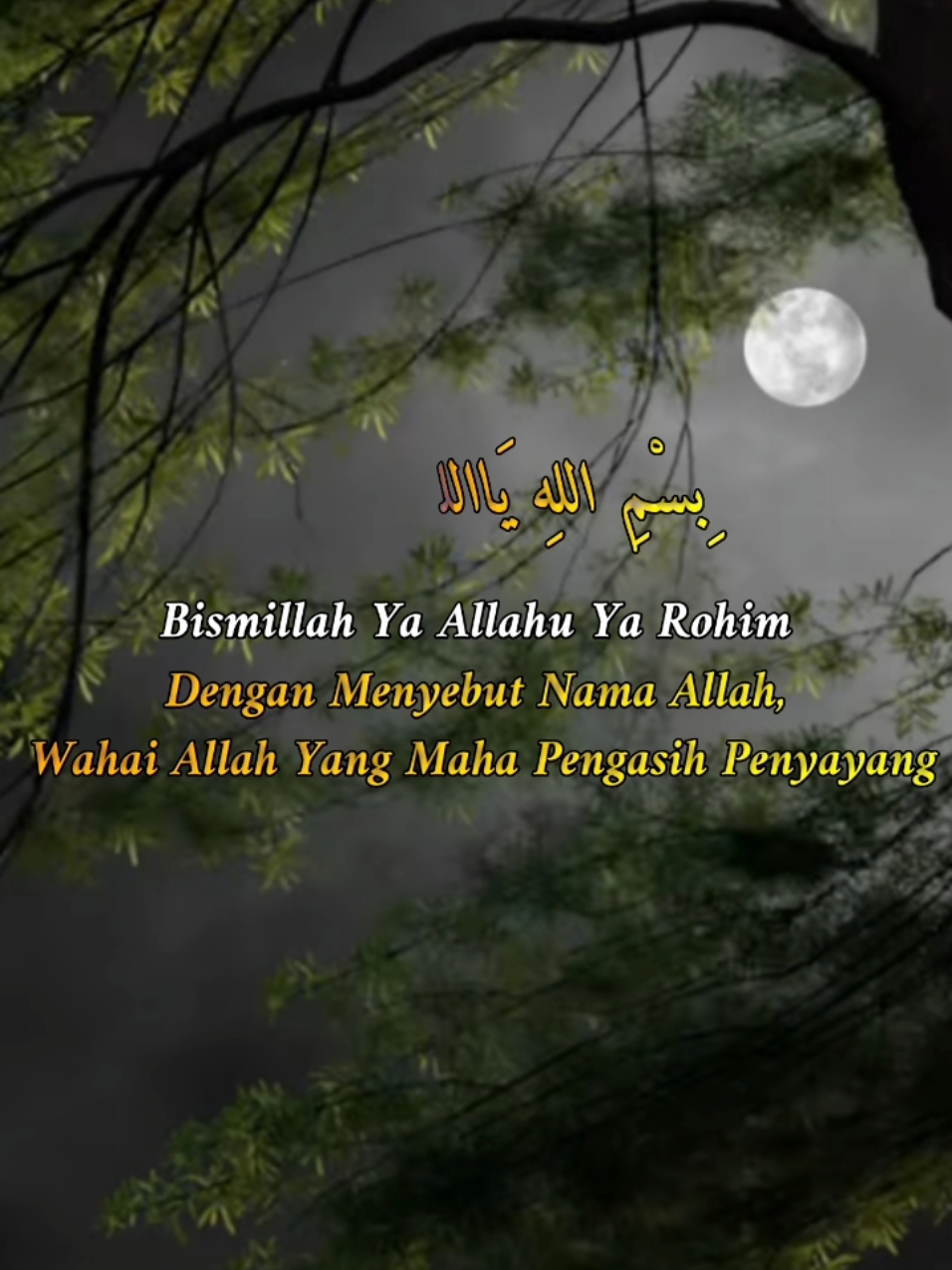 Assalamualaikum warahmatullahi wabarakatu #bismillah #bismillahyaallahyakarim #maribersholawat #sholawatnabimuhammadsaw #perbanyakistighfar #perbanyakzikir #fyp 