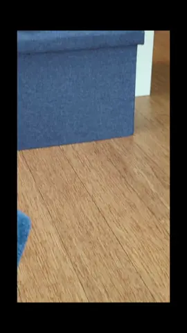 #catlover #fyp #islamicreminder #videoviral #lovemy #mrchaudhary😻 #foru #catsoftiktok #tabbasam321 