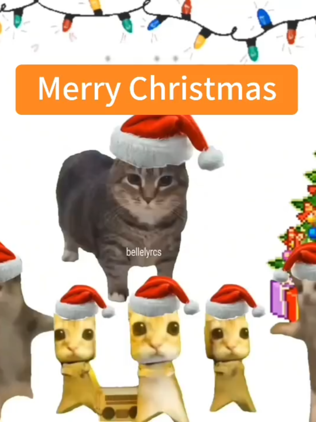 Merry Christmas!!! 🎀🎄🎅🏼 #fyp #fypシ #christmastiktok #christmas2024 #oiacat #catsoftiktok #cat #cattok #kitty #catmeme