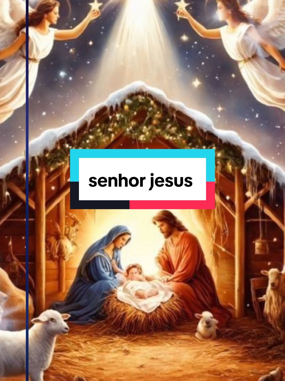 #senhorjesus #amor #fé #motivacao #foryou #viraltiktok #abençoe #feliznatal 