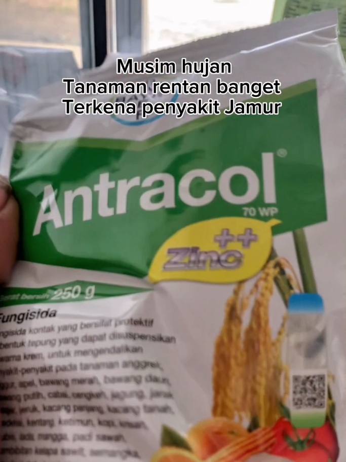 Cek keranjang kuning di sini,>>>@Tuuaan Muudda fungisida Antracol untuk atasi Jamur pada tanaman #petanimuda #fungisida #antracol #tuuaanmuudda #foryoupage #xyzbca 