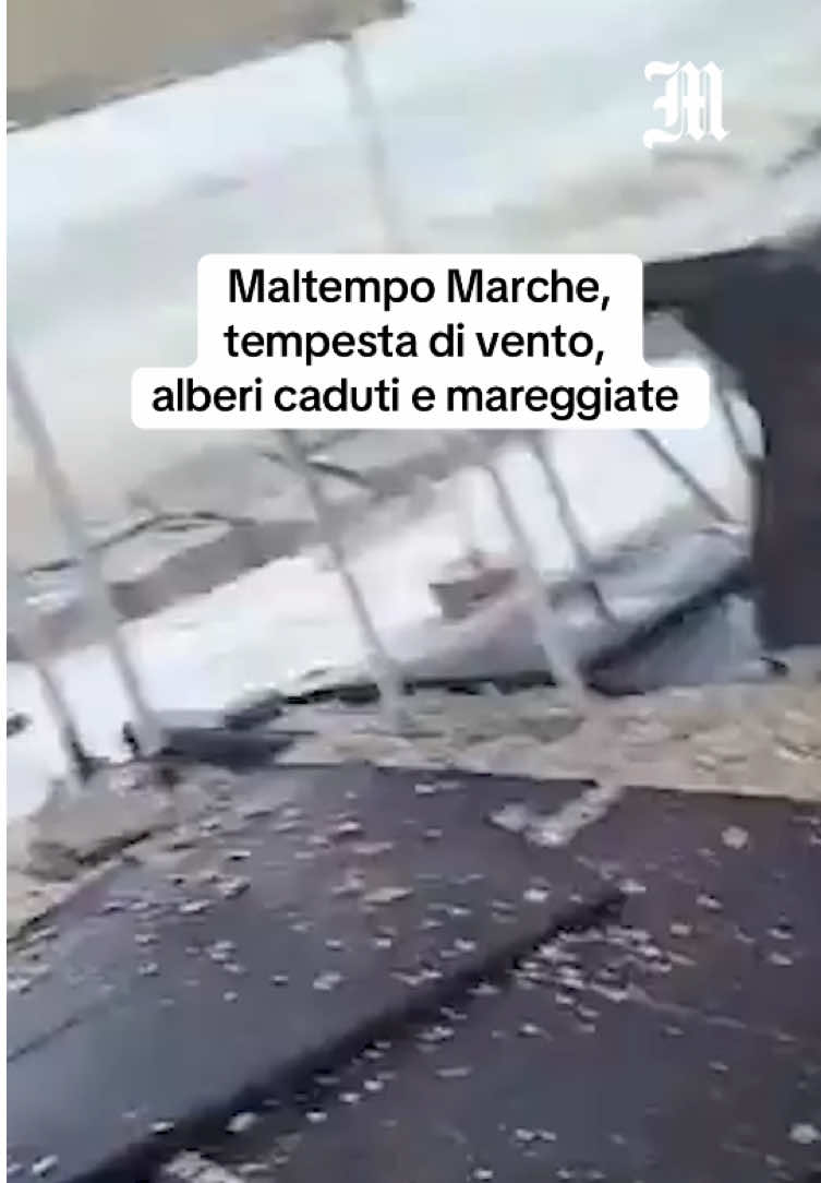 Annunciato da un'allerta gialla della Protezione civile per vento, mareggiate e rischio di piene dei corsi d'acqua minori, un'ondata di maltempo si è abbattuta dalla scorsa notte su tutte le Marche. Tempeste di vento in particolare lungo la costa, nevicate nell'entroterra e anche in collina, mentre nell'Adriatico centrale è in corso un'autentica burrasca. Centinaia gli alberi caduti in tutta la regione, diverse le strade bloccate, la mareggiata ha provocato danni a Marina di Montemarciano, disagi per la neve anche a bassa quota nel Pesarese, Maceratese e Piceno. Circa 200 gli interventi dei vigili del fuoco . . . [#IlMessaggero] #protezionecivile #maltempo #marche #maltempomarche #vigilidelfuoco 