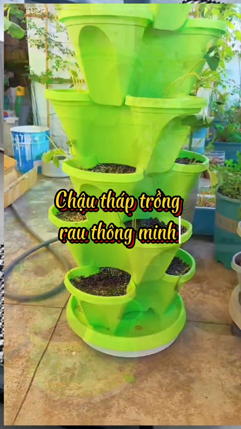 Chậu tháp trồng rau thông minh #giadung6886 #viralvideo #chauthaptrongrau @Gia Dụng 6886 