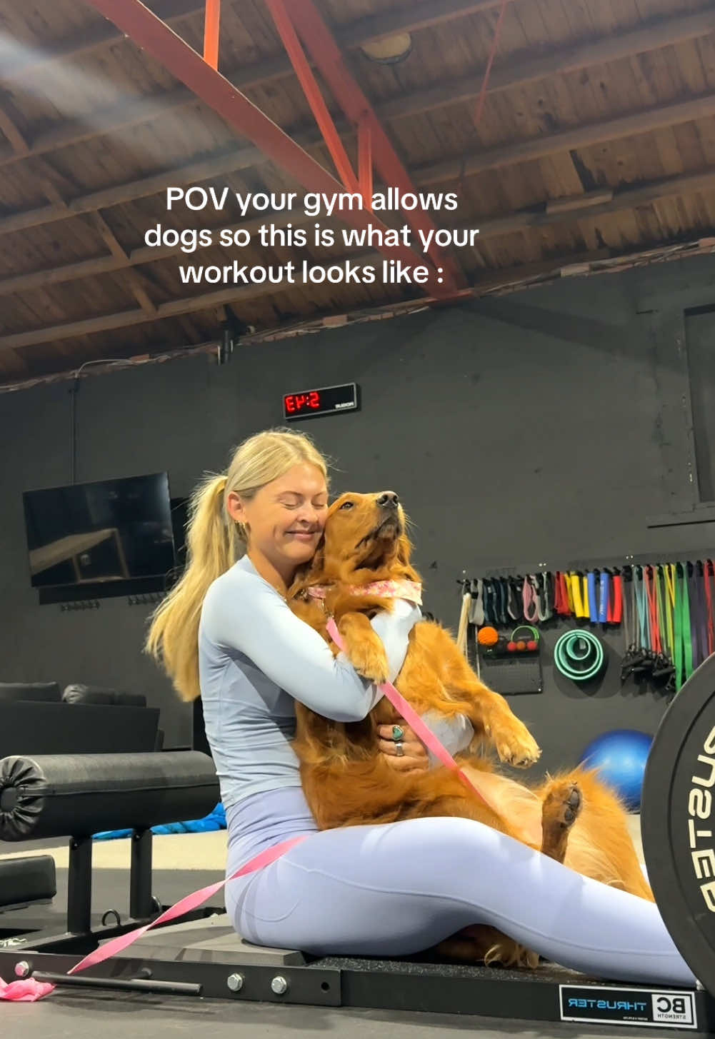 best workouts everrrr🤸🏼‍♀️🍀🏋🏼‍♀️ #gymmotivation #fitnessmotivation #motivation #gymdog #workoutroutine #workoutmotivation #GymLife #gymhumor  