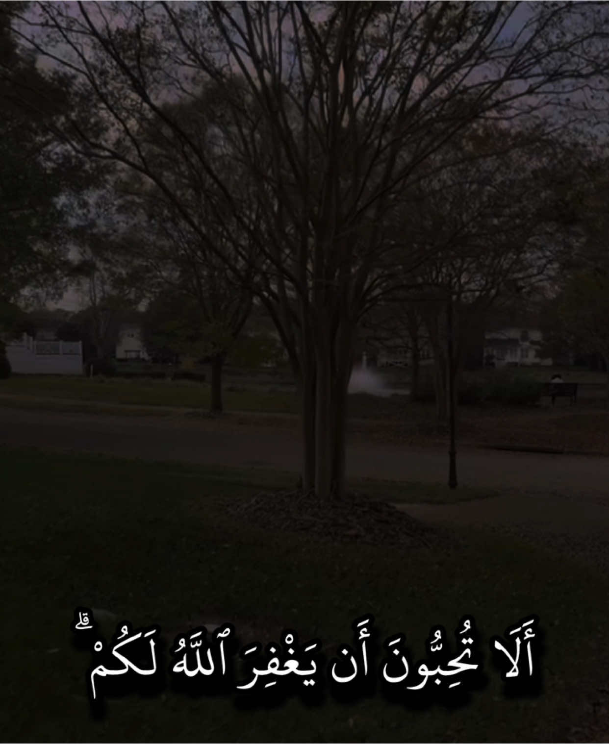 جزء١/.                                                           أَلَا تُحِبُّونَ أَن يَغۡفِرَ ٱللَّهُ لَكُمۡۚ وَٱللَّهُ غَفُورٞ رَّحِيمٌ ____________________________ سورة النور : ماهر المعيقلي ____________________________ #quran_alkarim #القران_الكريم #ايات_من_القران_الكريم #قران #ماهرالمعيقلي #تلاوة_خاشعة #ذكر_فانا_الذكرى_تنفع_المؤمنين 