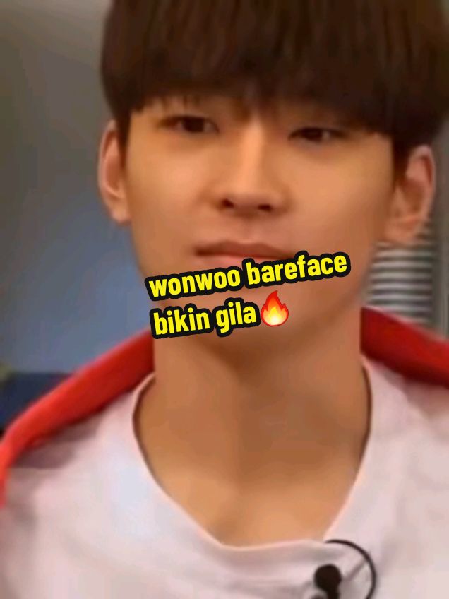 mas satu ini mukanya bikin adem ke mas mas jawa yang bicaranya soft spoken #fyp #seventeen #wonwoo 