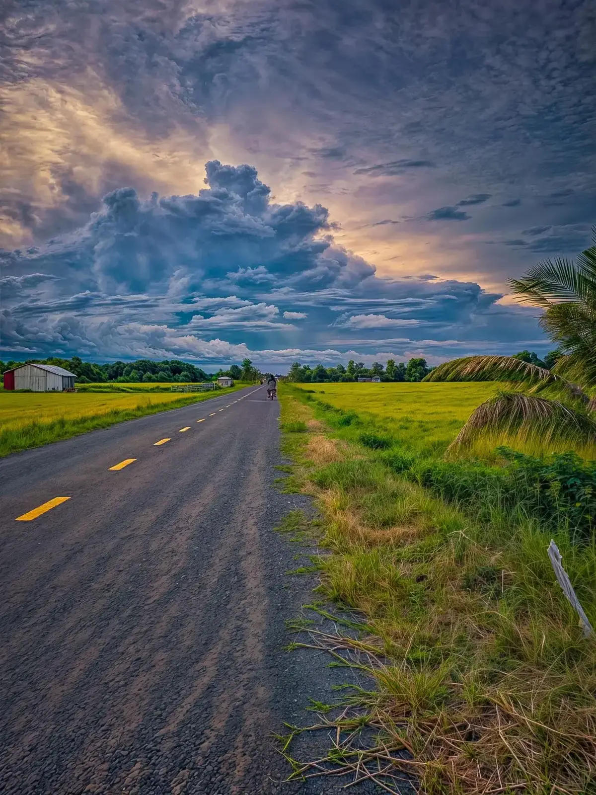 Những màu quê chỉnh lên nhìn chill thật                 #chinhanh #lightroom #canhqueyenbinh #canhdongque #chill 