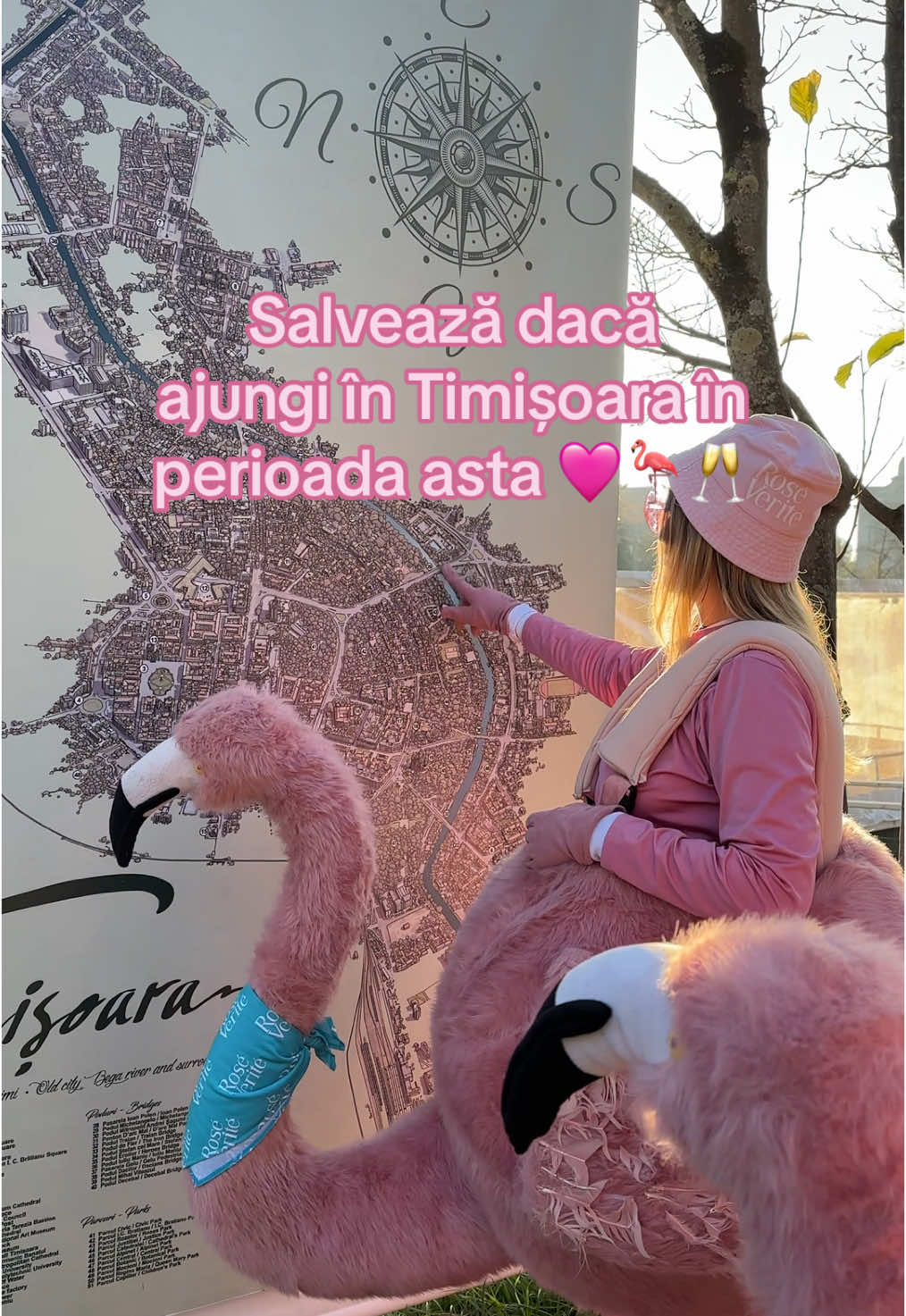 Nu uita să iei și pauza de Rosé Verité 😎 #365deziledevara #LaVidaEnRose #flamingointurulromaniei #romania #timisoara #funny #beciuldomnesc #sarbatori #idei 