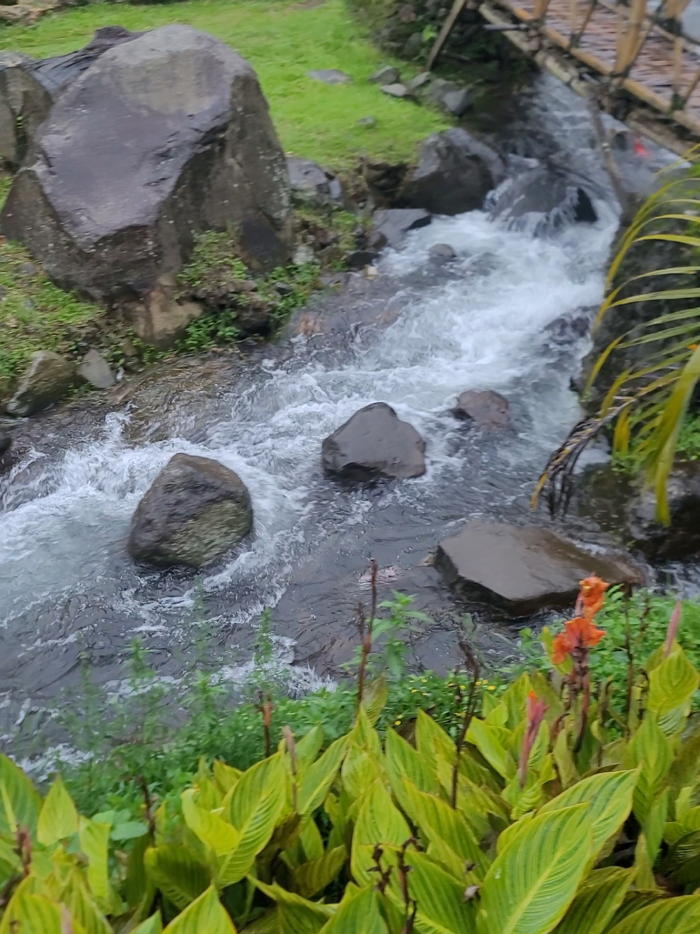 belum bisa move on dari tempat ini🍃 aq pasti kembali.. #healing #healing_through_nature #wisatapuncak #wisatabogor #bogorhits #glamping #camping #gunungmasbogor 