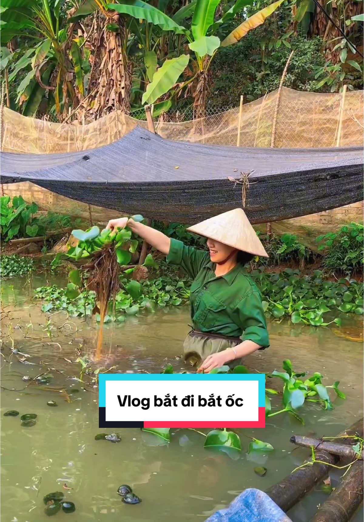 Vlog đi lội bùn bắt ốc dưới thời tiết lạnh cóng  #dinhhue21 #dinhhue21yb 