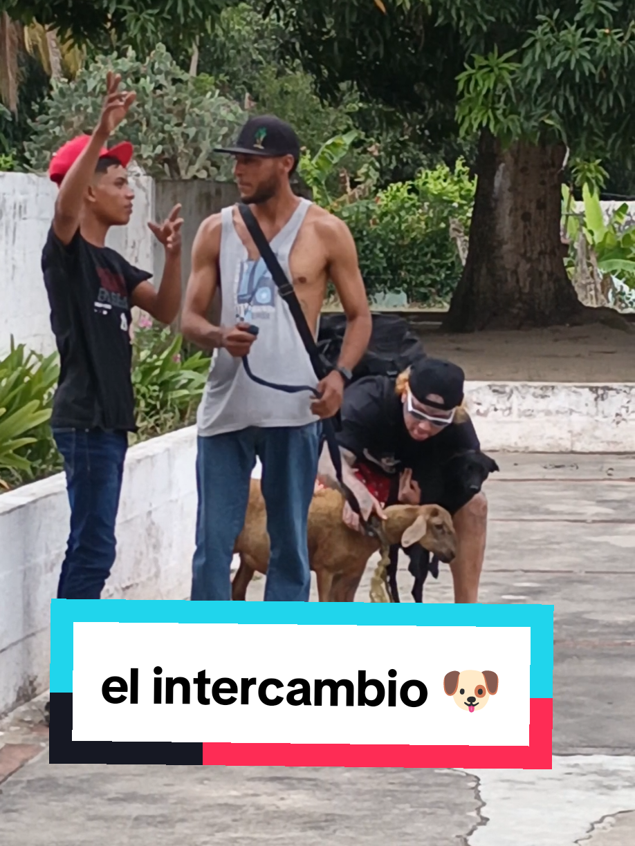 El intercambio 😝🐕 #sanfelipeyaracuy #venezuela🇻🇪 #humorlatino #humorvenezolano #viralvideos #viral #risas #venezuela🇻🇪 #maracay #acarigua #sanfelipe #Yaracuy 