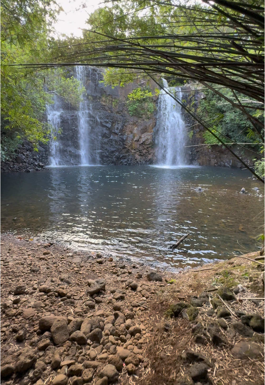 Cascade Rioux (La flora) #mauritius🇲🇺 #fyp #pourtoi #views #iphone #موريشيوس #маврикий #cascade #waterfall #peace #nature #laflora  @Peerally Zubeir  @ΛBDΛЯ ☁️ @Bagit_boutique @Le Palais du Chef 