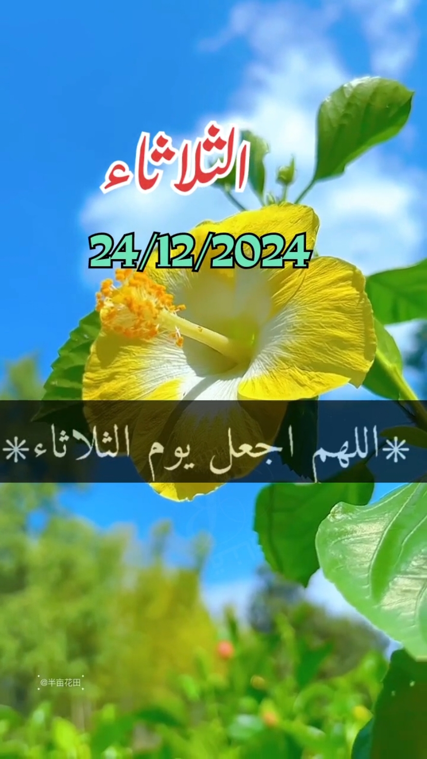 اللهم_في_صباح-يوم الثلاثاء_يارب #دعاء_يريح_القلوب _أنشر _ اكتب شيء_ سورة الكهف_وصلي على سيدنا محمد ﷺ#اسلاميات_صور_مقاطع_ايات_معلومات_قرآن_مسلم_ادعية_استغفر_الله#fypシ゚viral #1millionaudition #🤲🤲🕋🕋🤲🤲#عيد_سعيد Oh mon Dieu, Mardi, Seigneur Oh God, on Tuesday Lord