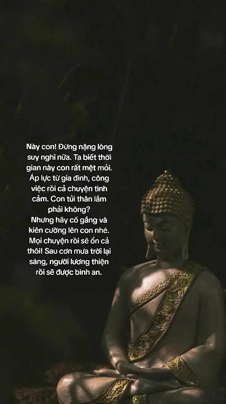 #Này con! Đừng nặng lòng suy nghĩ nữa. Ta biết thời gian này con rất mệt mỏi. Áp lực từ gia đình, công việc rồi cả chuyện tình cảm. Con tủi thân lắm phải không...