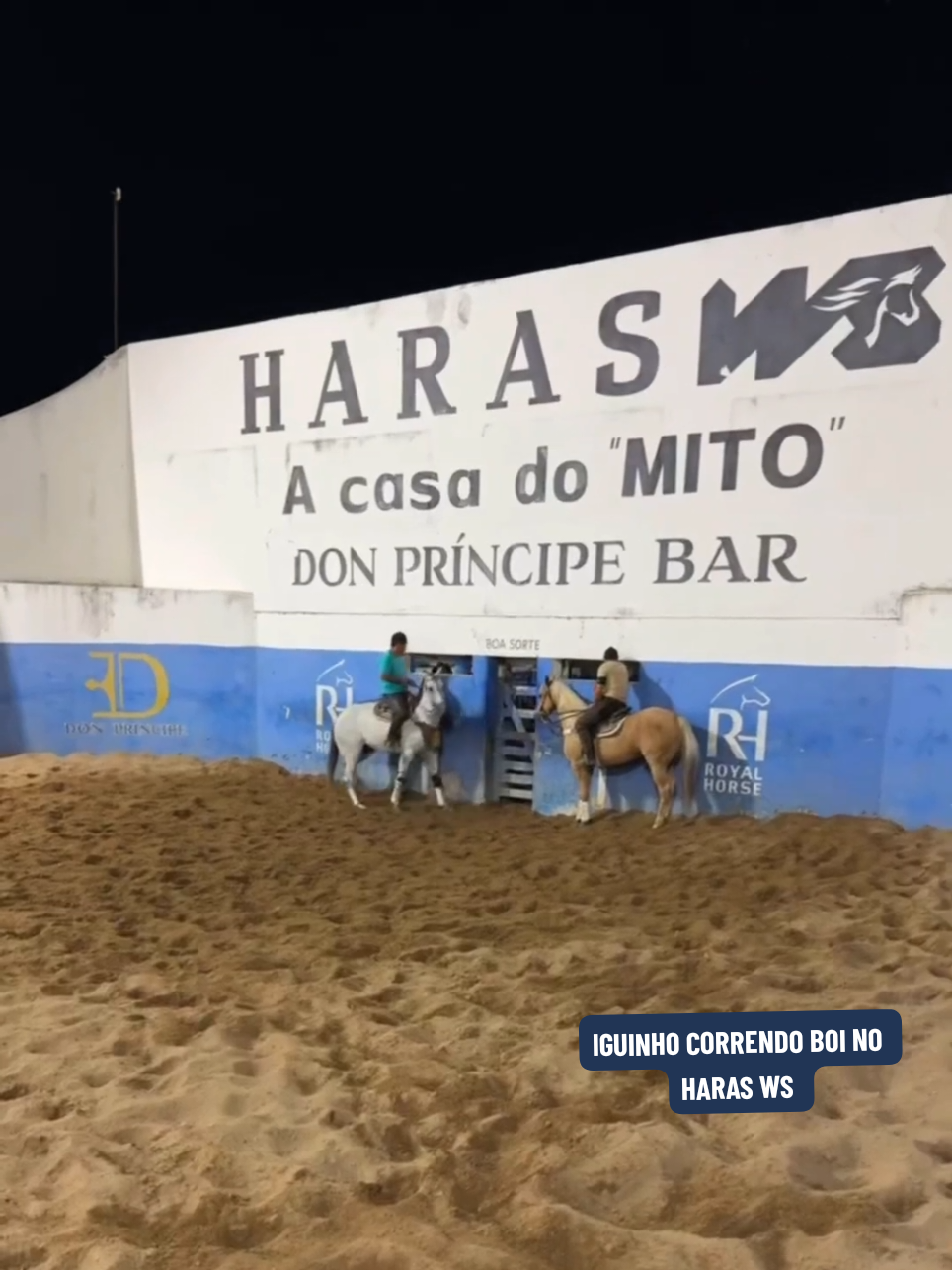 IGUINHO CORRENDO BOI NO BOLÃO NO HARAS WS E AI ELE FOI BEM? #x1vaquejada #vaquejada #viral_video #harasws 