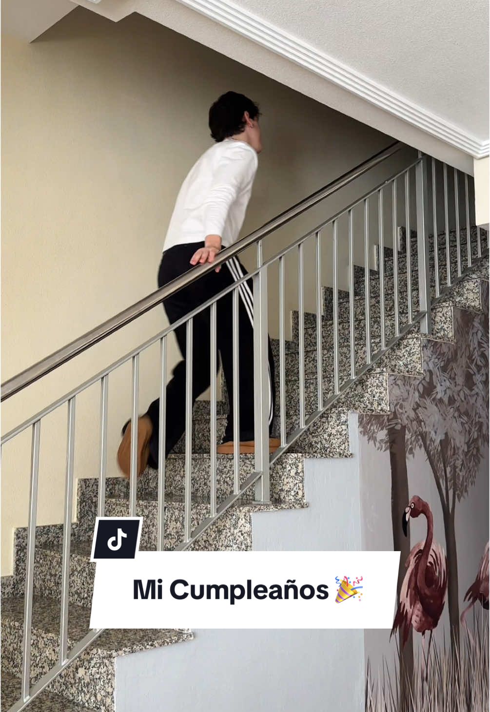 El MEJOR REGALO que podrian HACERME para mi CUMPLEAÑOS 🥳