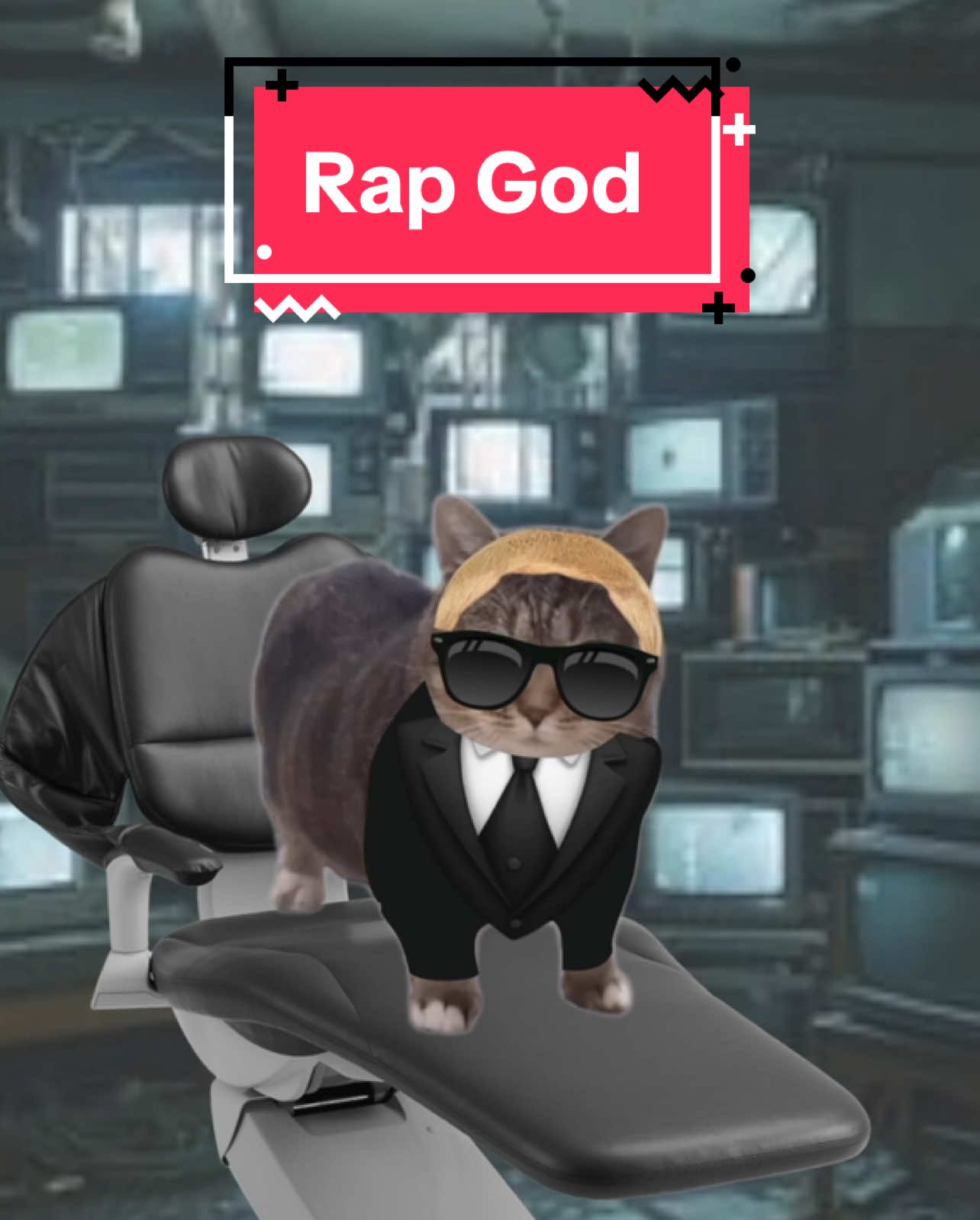 OIA cat raps Rap God! #cats #catsoftiktok