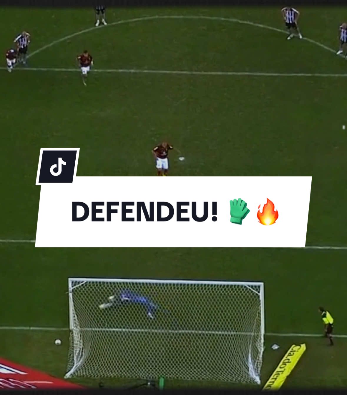 Dois pênaltis defendidos que estão marcados no coração de cada botafoguense. Realmente, o goleiro é uma posição especial no Glorioso! 🧤⭐️ #VamosBOTAFOGO  #Botafogo #futebol #futebolbrasileiro #libertadores #GloriaEterna #defesa #penalty #tiktokesportes #musica 