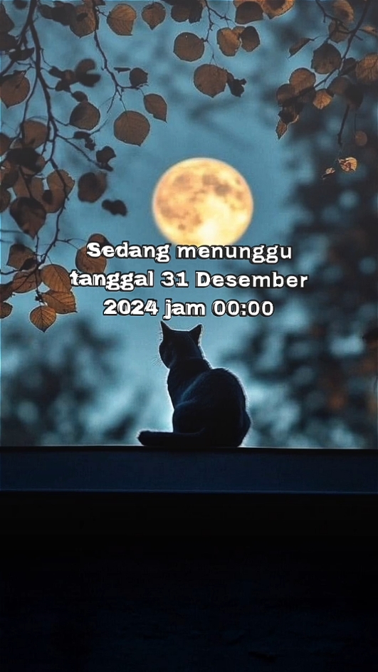 Tahun baru sebentar lagi,mau pada kemana nih?? #tahunbaru #malamtahunbaru #2025 #malamnatal #31desember2024 #hiburan 